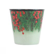 Kukkaruukku Jouluistutuskauha Ilex Ø11cm K10,5cm