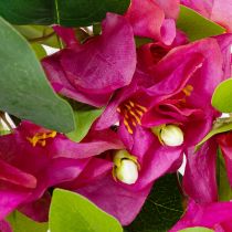 kohteita Keinotekoinen bougainvillean oksa kevään koristeeksi, 100 cm