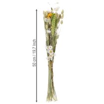 kohteita Kuivakukkakimppu, elegantti kuivakukkakimppu olohuoneeseen, 50cm