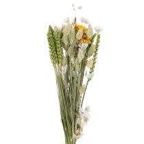 kohteita Kuivakukkakimppu, elegantti kuivakukkakimppu olohuoneeseen, 50cm