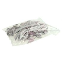 kohteita Brachyciton karhunvatukkakuorrute 500g