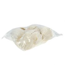 kohteita Buddha-pähkinä valkaistu 10 kpl