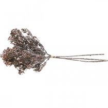 kohteita Keinotekoiset kasvit ruskea syyskoristelu talvikoristelu Drylook 38cm 3 kpl