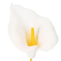 kohteita Keinotekoinen kalla keltaisilla heteillä, koristeellisilla kukilla, 35 cm, 10 kpl