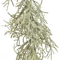 kohteita Calocephalus Garland Keinotekoiset kasvit Hopeanharmaa 122cm