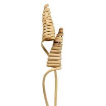 kohteita Cane Cone natural 25 kpl