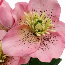 Jouluruusu, paastonruusu, hellebore, tekokasvit pinkki L34cm 4kpl