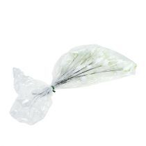 kohteita Jouluruusu langalla valkoinen 50 kpl