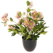 kohteita Keinotekoinen ruukkukasvi Helleborus, jouluruusu, kodin sisustukseen, 50cm