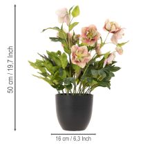 kohteita Keinotekoinen ruukkukasvi Helleborus, jouluruusu, kodin sisustukseen, 50cm