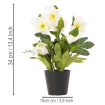 kohteita Keinotekoinen jouluruusu, ruukkukukka, pöytäkoriste, 34 cm