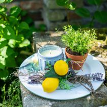 Citronella kynttilä ruukussa tuoksukynttilä sitruuna Ø10,5cm K8cm