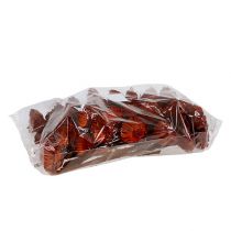 kohteita Compacta Rosette oranssi 40 kpl