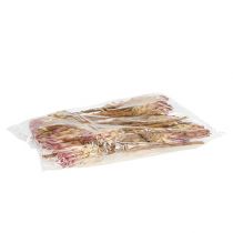 kohteita Compacta Pink 25 kpl