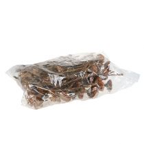 kohteita Compacta Rosette 100 kpl