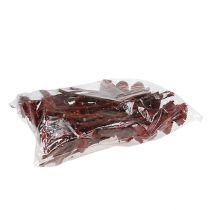 kohteita Compacta Rosette Erika 40 kpl