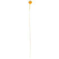 kohteita Craspedia kuivakukkakimppu 55cm 20kpl