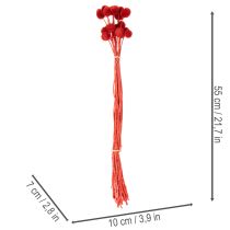 kohteita Kuivattuja Craspedia-kukkia, värjättyjä, pitkillä varsilla, 55 cm, 20 kpl
