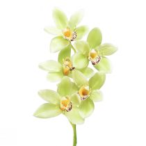 kohteita Cymbidium orkidea keinotekoinen 5 kukkaa vihreä 65cm