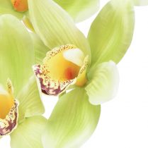 kohteita Cymbidium orkidea keinotekoinen 5 kukkaa vihreä 65cm
