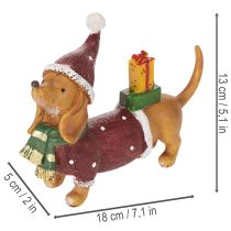 kohteita Koristeellinen mäyräkoirahahmo lahjapakkauksessa ja hatulla, 18 cm