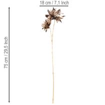 kohteita Tekoälyinen daalia, pitkävartinen, kahdella kukalla, 75 cm