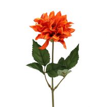 Dahlia Oranssi 28cm 4kpl
