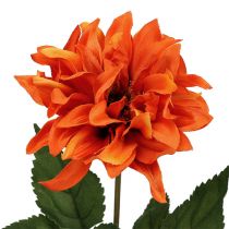 Dahlia Oranssi 28cm 4kpl