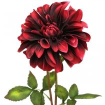 kohteita Keinotekoinen kukka Dahlia punainen silkkikukka syksy 78cm Ø3/15cm