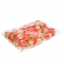 kohteita Koristeomenat Cox 4cm 24 kpl