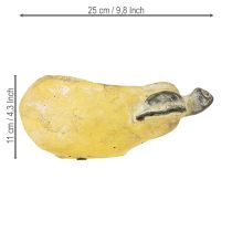 kohteita Koristeellinen päärynäruukku, syksyn ruukku, betoni 25 × 13 × 11 cm