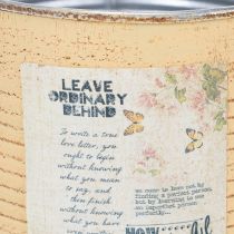 kohteita Koristeellinen pelti, aprikoosi, metallinen kukkaruukku, kesäkoriste, Ø15,5cm K15cm