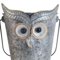 kohteita Koristeellinen ämpäripöllö istutuskone sinkki kahvalla Ø15/19cm 2 kpl setti