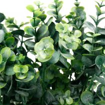 Koristeellinen eukalyptuksen oksa tummanvihreä Keinotekoinen eukalyptus Keinotekoiset vihreät kasvit 6kpl