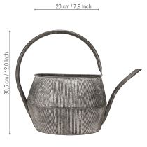 kohteita Koristeellinen metallinen kastelukannu/teekannu, musta, vintage-tyyli