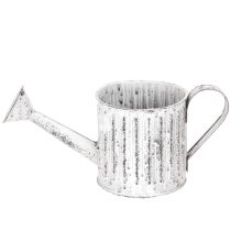 kohteita Koristeellinen kastelukannu, istutuskannu, kastelukannu istutukseen Ø10.5cm