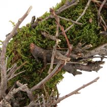 kohteita Koristeellinen sammalseppele bonsai-oksilla luonnon Ø30cm