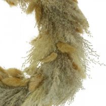 Pampasruoho Lagurus oviseppele kuivattu kukka seppele Ø31cm