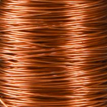 kohteita Deco emaloitu lanka oranssi Ø0,30mm 30g/50m
