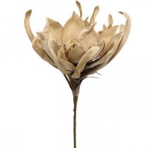 Deco lootuskukka keinotekoinen lootuskukka tekokukka beige L68cm
