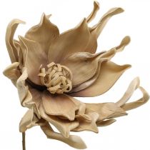 Deco lootuskukka keinotekoinen lootuskukka tekokukka beige L68cm