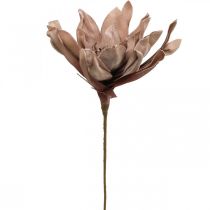 Deco lootuskukka tekolootuskukka tekokukka ruskea L68cm