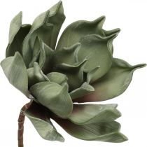 Deco lootuskukka, lootuksenkukka, silkkikukka vihreä L64cm