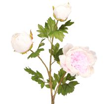 kohteita Koriste Pionit Pinkki 3 Kukkaa Pitkä Varsi L80cm 2kpl