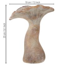 kohteita Koristeellinen sieni valukivi syksynkoriste harmaa pesty 19 × 15 cm korkeus 23 cm