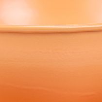 kohteita Koristeellinen kuppi Ø16cm K9cm metallilevyllä, oranssi, 2 kpl