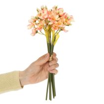 kohteita Koristeellinen kukkiva perulilja ajattomiin asetelmiin, 33 cm, 6 kpl