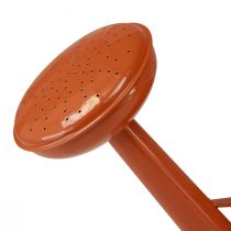 kohteita Metallinen koristeellinen kastelukannu maalaistyyliin, oranssinruskea, 26 cm, 5 l - Monipuolinen käyttö ruukkuna ja koristeena