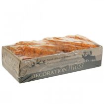 kohteita Koristesammale Oranssi Aito sammal askarteluun kuivattu, värjätty 500g