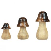 Koristesienet puiset sienet ruskea kiiltoefekti syksyinen koriste H6/8/10cm